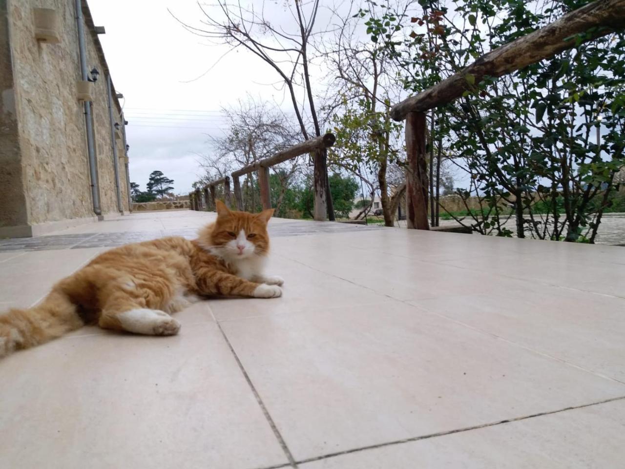 Revakli Ev Guest House Rizokarpaso 외부 사진